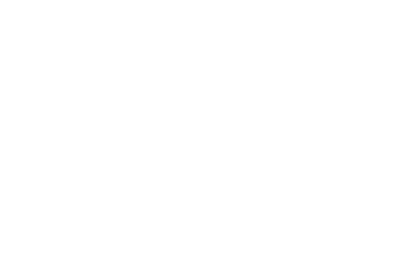 MAZE TRADE-8